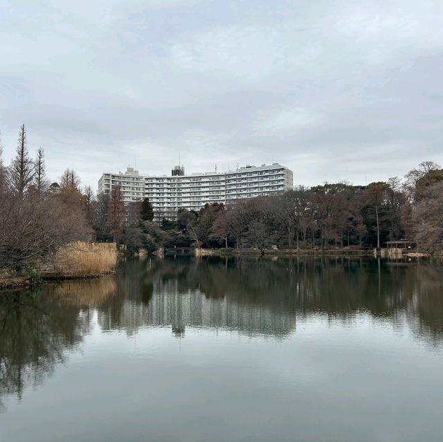 井の頭恩賜公園