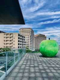 【兵庫】安藤忠雄建築と芸術の融合の場 有名な🍏りんごの理由