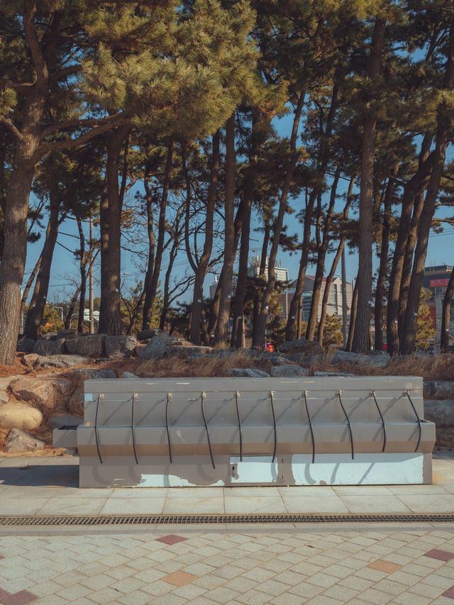 🌊제주바다에 온거같은 느낌이 드는 “대부도 방아머리해변”