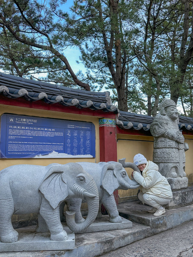 세계적으로 유명한 부산 바닷가 절, 해동용궁사