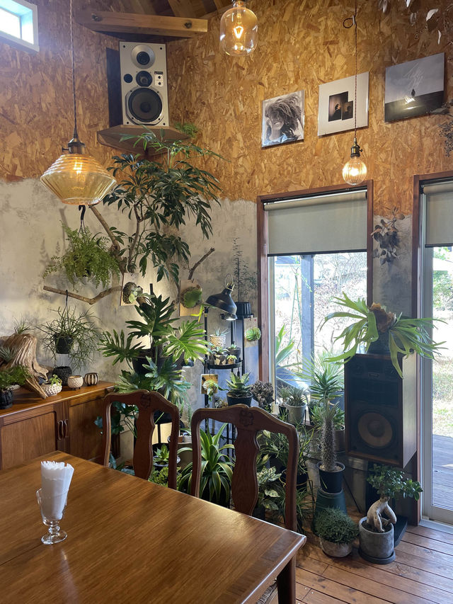 黄色い扉が印象的なカフェ