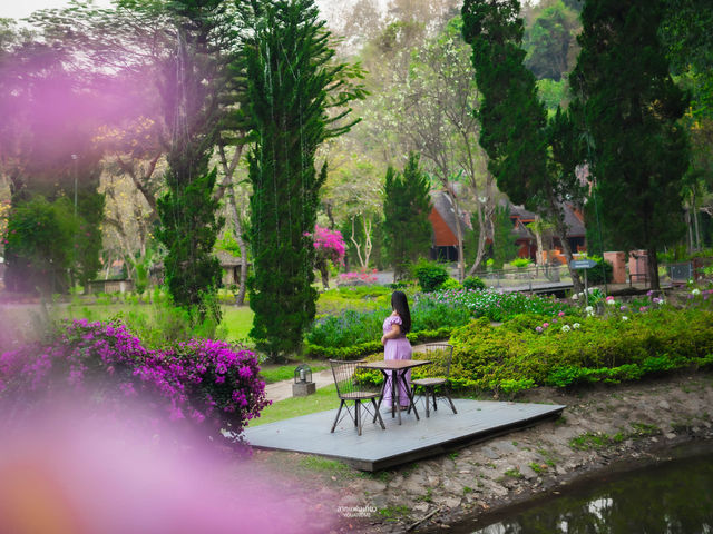 Flora Creek , Chiang Mai ที่พักใจกลางหุบเขา 