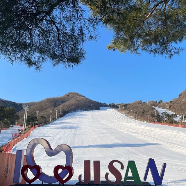 首爾近郊芝山滑雪場，超近，超方便，雪道多又寬躺，讚👍🏻