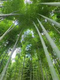 【デートにおすすめ🎋若山農場】
