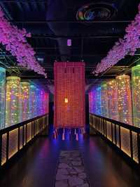 【アートアクアリウム美術館 GINZA /東京都】春を先取り！幻想的空間の桜と金魚