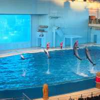 【水族館と絶景が楽しめる★】八景島シーパラダイス