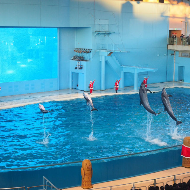 【水族館と絶景が楽しめる★】八景島シーパラダイス