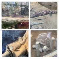 嘩嘩嘩🤩🤩令人大開眼界的上野動物園