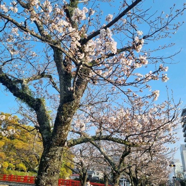 도쿄가 지겨우시면... 여유있는 하코네로 ~