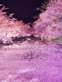 【青森・桜】その美しさ悶絶級🤩「やっば！えぐ！」しか出てこなくなる絶景🌸※アクセス攻略付き