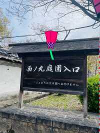 【大阪府】夜桜が美しい大阪城西の丸庭園
