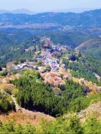 一生に一度は訪れたい‼️奈良・吉野山の桜🌸