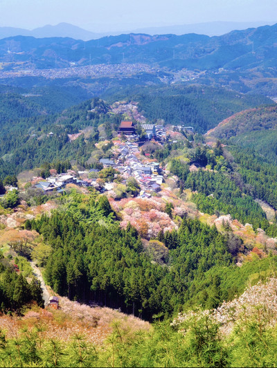 一生に一度は訪れたい‼️奈良・吉野山の桜🌸 | Trip.com 吉野町 一生に一度は訪れたい‼️奈良・吉野山の桜🌸 | Trip.com 吉野町