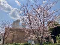 日本丸紀念公園@櫻木町