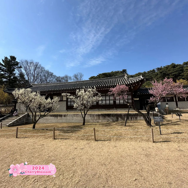 Historic House of Yi Sun-Sin🌸@ Hyeonchungsa🇰🇷