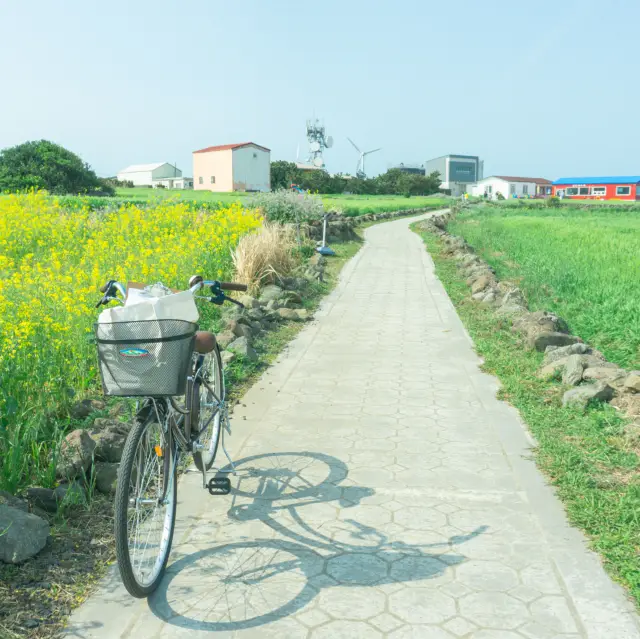 在濟州島享受特別的春日之旅——青麥節