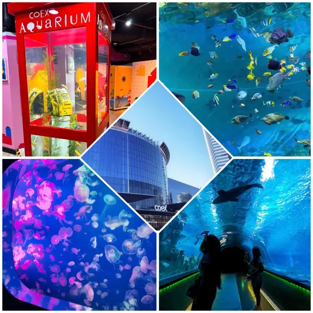 「首爾必去！COEX AQUARIUM 水族館，數百種海種生物等你探索！」