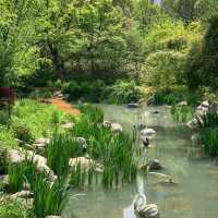 「裕廊湖花園」：熱帶樹木、花壇、湖濱長廊