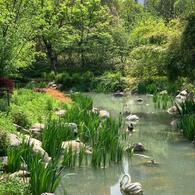 「裕廊湖花園」：熱帶樹木、花壇、湖濱長廊
