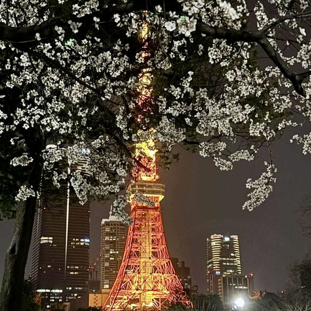 Tokyo Tower: the Ultimate Guide to Iconic Views! 🗼