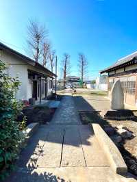 【北町愛宕神社/東京都】五日市街道沿いにあり欅が並ぶ