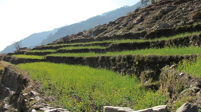 HIKING THE HIMALAYAN PARADISE ~ ANNAPURNA