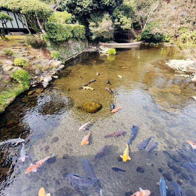 水前寺 欣賞美景的好地方