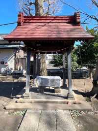 【本多八幡神社/東京都】朱塗りのコンクリート社殿と夫婦木