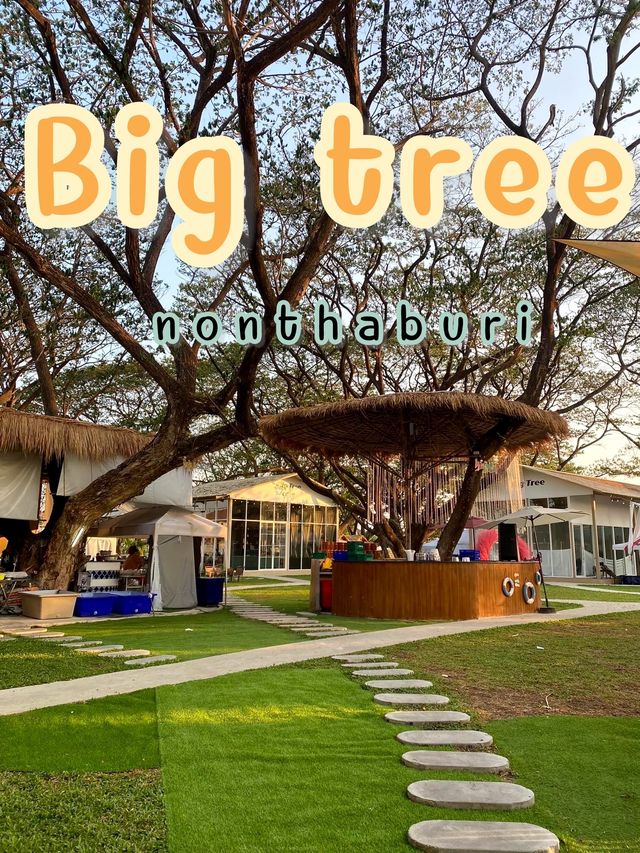 Big tree cafe 🌳