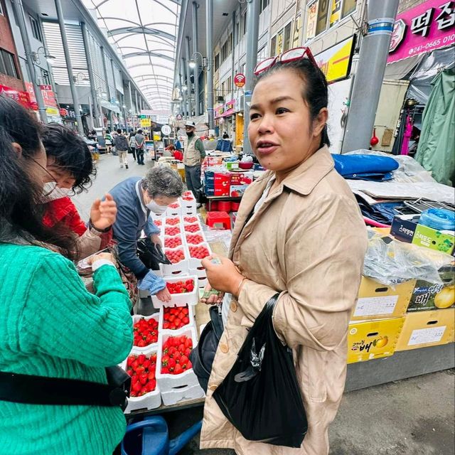 ตลาดปูที่โปฮัง เกาหลีใต้