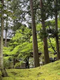 【福井・永平寺】言わずと知れた曹洞宗の総本山