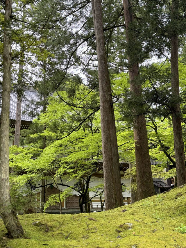 【福井・永平寺】言わずと知れた曹洞宗の総本山