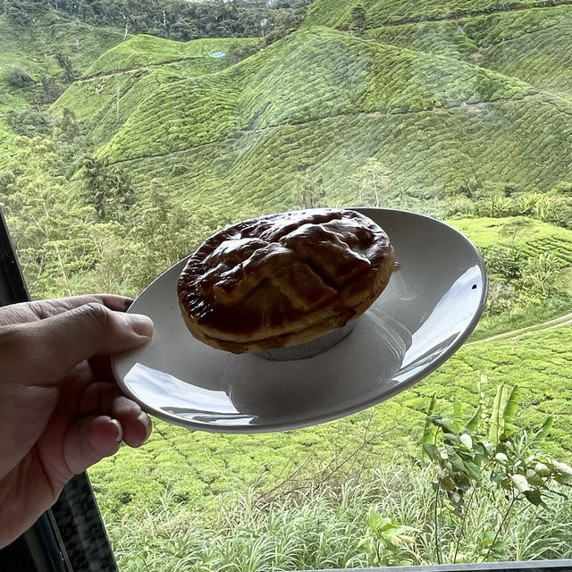 Local Boh Tea Plantation In Malaysia! 