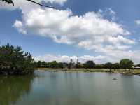 賞花好去處😚海之中道海濱公園