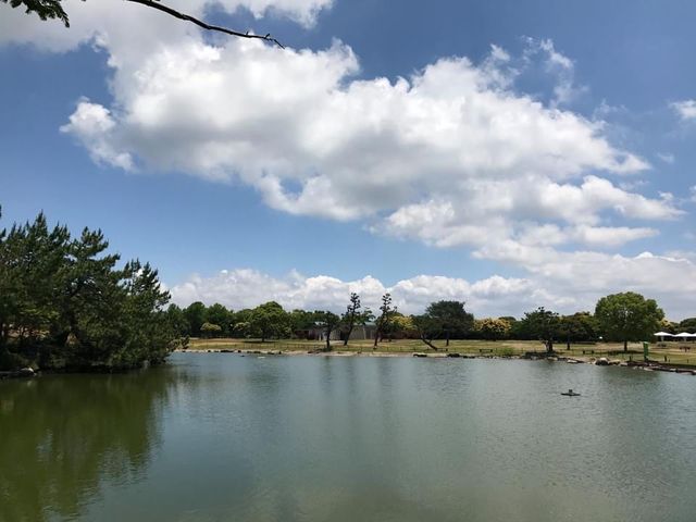賞花好去處😚海之中道海濱公園