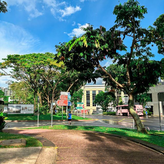 Fort Canning Tree Tunnel