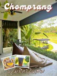 คาเฟ่สุดชิคริมน้ำแม่น้ำยมที่ ชมปรางค์ คาเฟ่