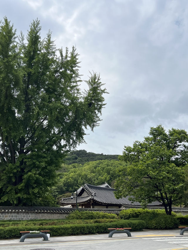 🌟💙수원 '카페 We Have Today'에서의 환상적인 화성 뷰!🌿
