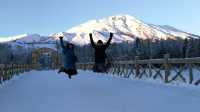 Fluffy White Snow of Northern Xinjiang