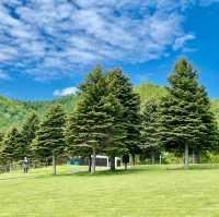 Kanayamako Forest Park: Nature's Paradise