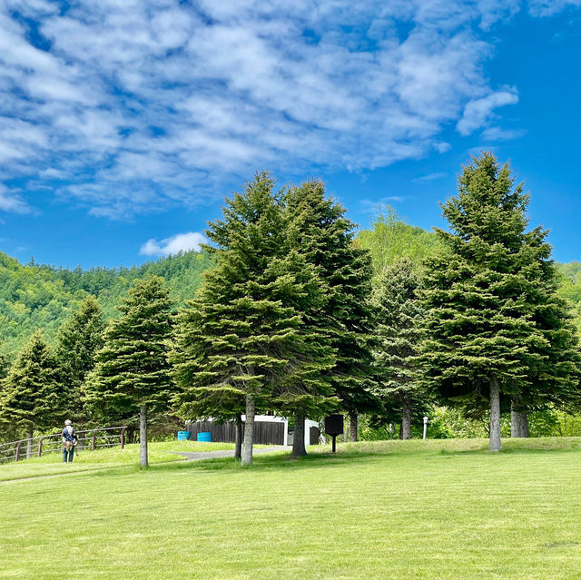 Kanayamako Forest Park: Nature's Paradise