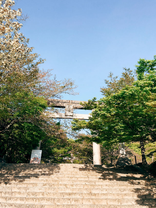 🇯🇵日本福岡景點⛩️ 寶滿宮 竈門神社🌸