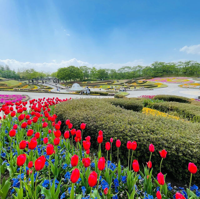 國營陸奧森林湖畔公園賞花
