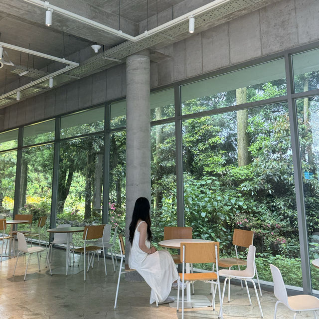 제주에 왔음을 물씬 느낄 수 있었던 곳이랍니다 ! ✨