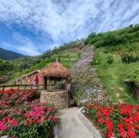 Discovering Middle-earth Magic: Hobbiton Cameron Highlands Enchants