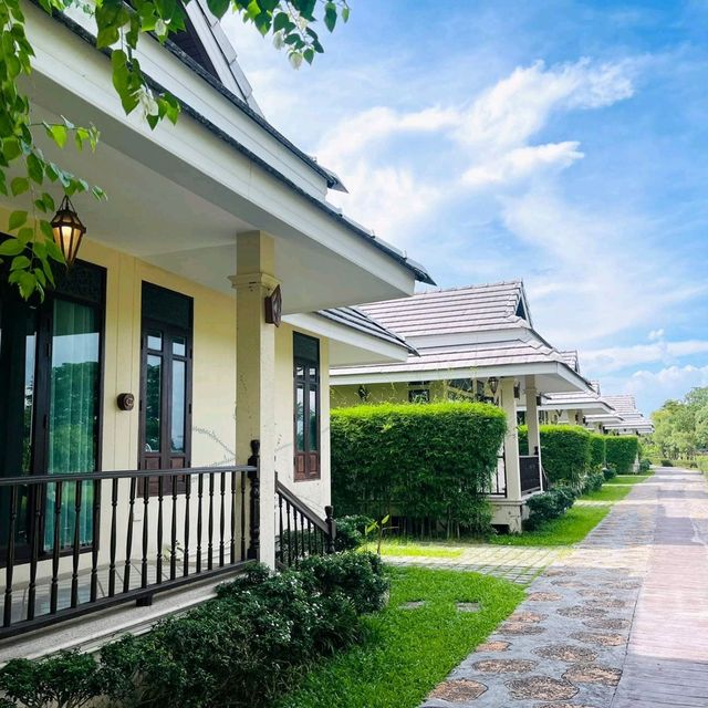 แจกพิกัด คาเฟ่ที่มีน้องช้าง สันกำแพง เชียงใหม่