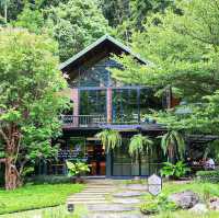 INTO THE FOREST | ดื่มด่ำบรรยากาศคาเฟ่กลางหุบเขา