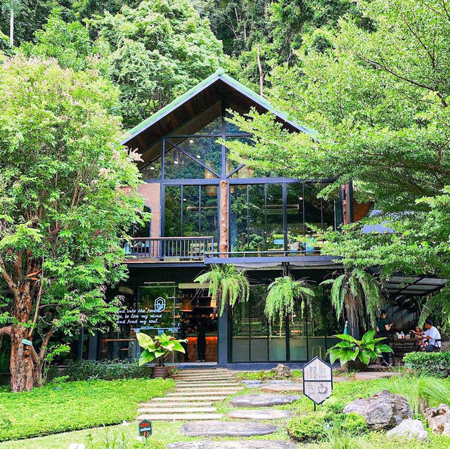 INTO THE FOREST | ดื่มด่ำบรรยากาศคาเฟ่กลางหุบเขา