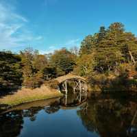 長野公園：恬靜優雅的日式庭園，感受日式庭園文化氛圍