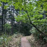 Nice自然公園：寧靜美景，享受快樂時光